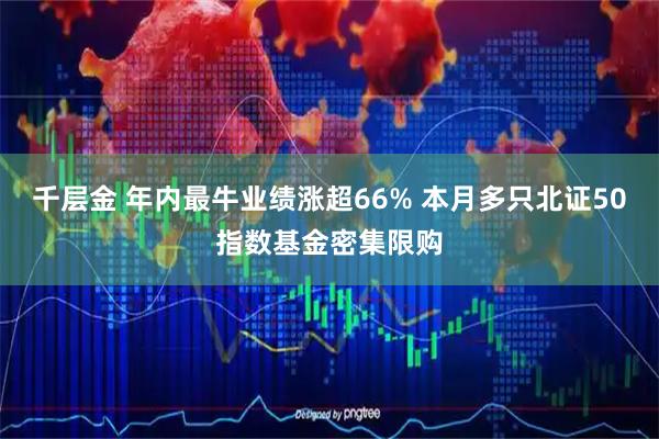 千层金 年内最牛业绩涨超66% 本月多只北证50指数基金密集限购