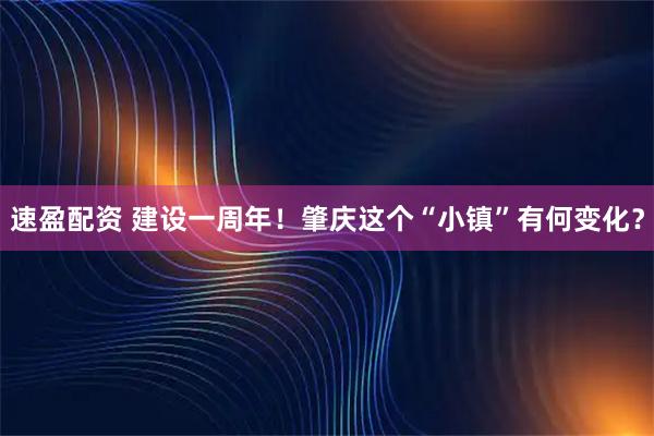 速盈配资 建设一周年！肇庆这个“小镇”有何变化？
