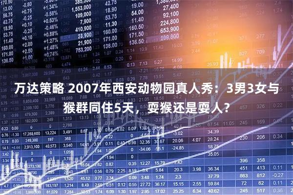 万达策略 2007年西安动物园真人秀：3男3女与猴群同住5天，耍猴还是耍人？